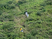 Thumbnail of PB060054.JPG