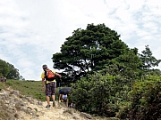 Thumbnail of PB060092.JPG