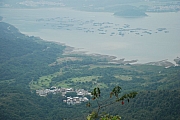 Thumbnail of pic_Billy_37.JPG