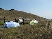 Thumbnail of pic_Billy_72.JPG