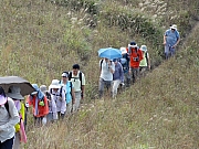 Thumbnail of PB200113.JPG