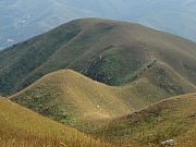 Thumbnail of PB200154.JPG