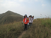 Thumbnail of pic_Billy_37.JPG