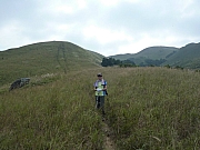 Thumbnail of pic_FW_Li_96.JPG