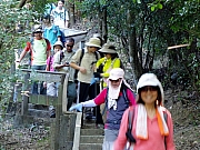 Thumbnail of PB270078.JPG