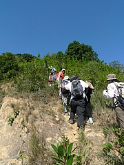 Thumbnail of pic_CC_Li_055.JPG