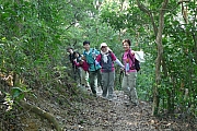 Thumbnail of pic_CC_Li_082.JPG