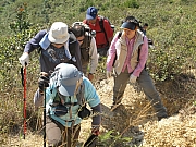 Thumbnail of PIC_Billy_28.JPG