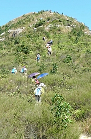 Thumbnail of pic_CC_Li_069.JPG