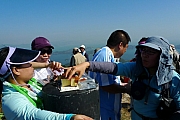 Thumbnail of pic_CC_Li_083.JPG