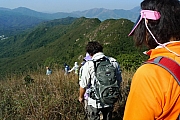 Thumbnail of pic_CC_Li_105.JPG