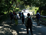 Thumbnail of pic_CC_Li_121.JPG