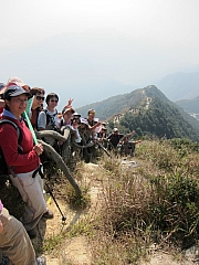 Thumbnail of pic_YL_Wong_111.jpg