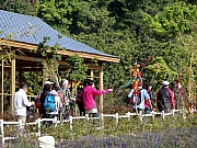 Thumbnail of PC250025.JPG