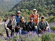 Thumbnail of PC250031.JPG