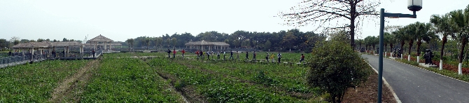 PC250517-1.JPG (697168 bytes)