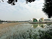 Thumbnail of PC250564.JPG