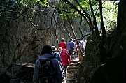 Thumbnail of pic_CC_Li_035.JPG