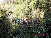 Thumbnail of pic_Wai_053.JPG