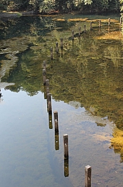 Thumbnail of pic_Wing_0134.jpg