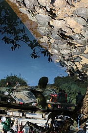 Thumbnail of pic_Wing_0147.jpg