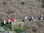 Thumbnail of P1010029.JPG