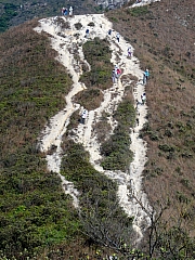 Thumbnail of P1010145.JPG