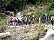 Thumbnail of P1290037.JPG