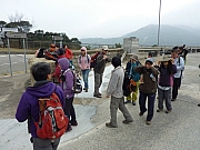 Thumbnail of pic_FW_Li_05.JPG