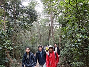 Thumbnail of pic_KT_Lui_009.JPG