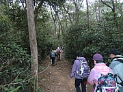 Thumbnail of pic_Wai_019.JPG