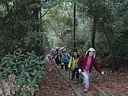 Thumbnail of pic_Wai_026.JPG