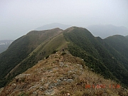 Thumbnail of pic_Wai_098.JPG