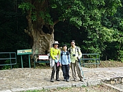 Thumbnail of pic_CC_Li_81.JPG