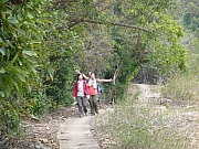 Thumbnail of pic_FC_Chan_081.JPG