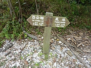 Thumbnail of pic_FW_Li05.JPG