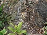 Thumbnail of pic_CC_Li_095.JPG