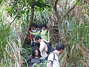 Thumbnail of pic_FC_Chan_083.JPG
