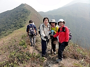 Thumbnail of P2190070.JPG