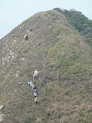 Thumbnail of pic_FW_Li_35.JPG