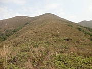 Thumbnail of pic_KT_Lui_37.JPG