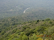Thumbnail of pic_Wai_038.JPG