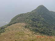 Thumbnail of pic_Wai_045.JPG
