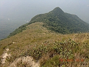 Thumbnail of pic_Wai_046.JPG