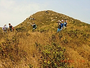Thumbnail of pic_Wai_100.JPG