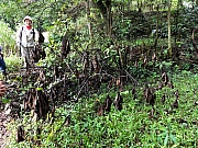 Thumbnail of P2260098.JPG