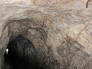 Thumbnail of PIC_YL_Wong_032.JPG