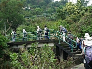 Thumbnail of pic_CC_Li_016.JPG