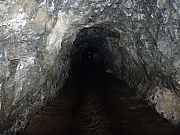 Thumbnail of pic_CW_Leung_25.JPG