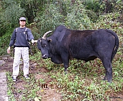 Thumbnail of pic_Wai_0053.JPG